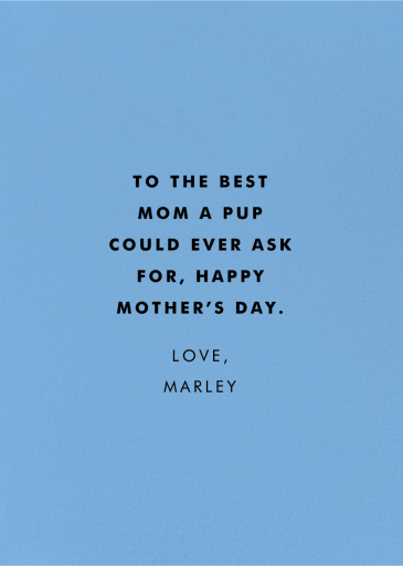 Dog Toss (Odile Ferraille) - Mother's Day Card by Wrap - Back