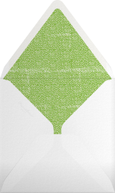 Kiss Me I'm Irish - Mr. Boddington's Studio Envelope