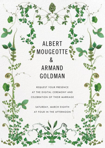 Mystic Forest Photo by Stephanie Fishwick - Back