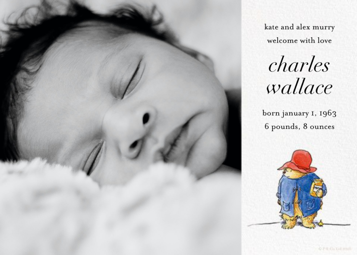 Moreish Marmalade (Photo) by Paddington Bear