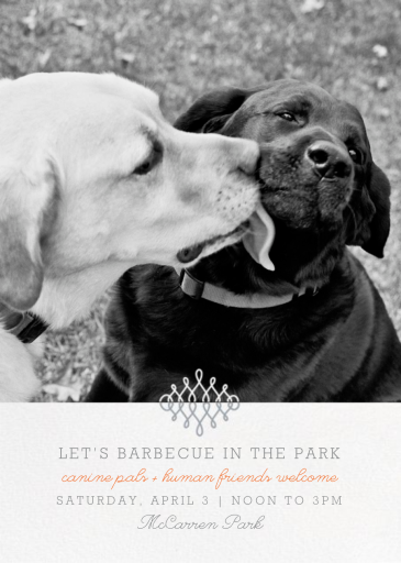 Photo Filigree by Paperless Post