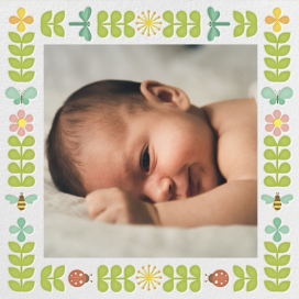 Garden Border - Birth Announcement by Petit Collage
