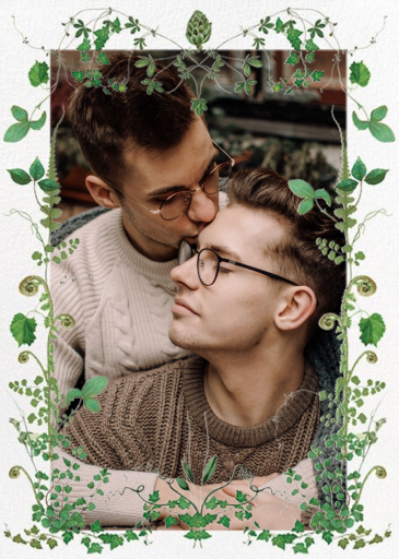 Mystic Forest Photo by Stephanie Fishwick