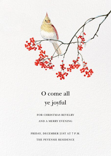 Winter Cardinal by Felix Doolittle