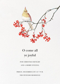 Winter Cardinal by Felix Doolittle