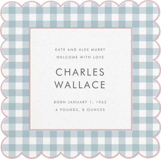 Gingham Shower Photo by Meri Meri - Back