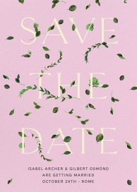 Semplici by Venamour