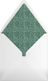 Holly on the Banister - Mr. Boddington's Studio Envelope