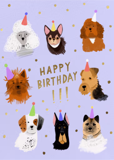 Dog Faces - Birthday Card by Carolyn Suzuki Studio