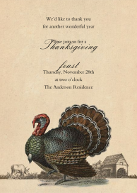 Turkey and Farm by John Derian