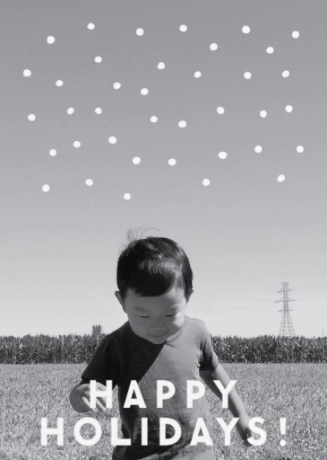 Winter Flakes by The Indigo Bunting