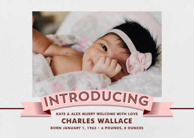 Introducing Banner by Paperless Post