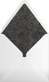 Konfetti Photo - Kelly Wearstler Envelope