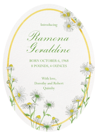 Blooming Daisies by Clementina Sketchbook