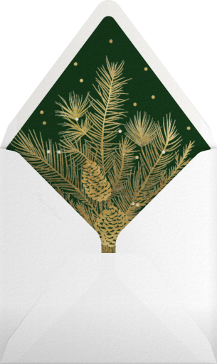 Photo Grid Border - Paperless Post Envelope