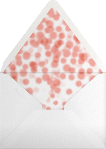 Double Bubble - Crate & Barrel Envelope