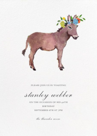 Donkey in the Meadow by Happy Menocal