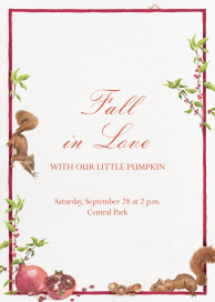 Pomegranate and Squirrel - Baby Shower Invitation by Clementina Sketchbook