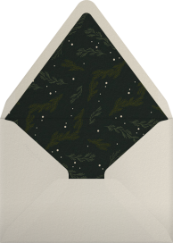 Winter Greenery - Paperless Post Envelope