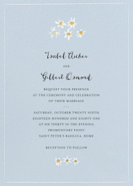 Better Daisies by Mr. Boddington's Studio