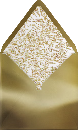 Twinkling Stars Photo - Paperless Post Envelope