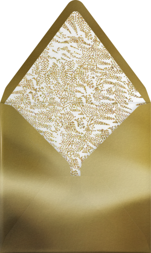 Twinkling Stars Photo - Paperless Post Envelope