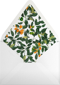 Nagami - Oscar de la Renta Envelope