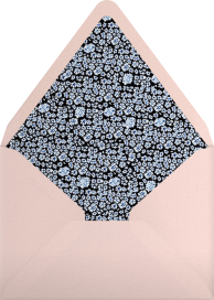 Powdy - Mary Katrantzou Envelope