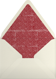 Watch Out For The Crocs - Mr. Boddington's Studio Envelope