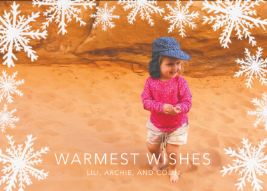 Silhouette Snowflakes by Linda and Harriett