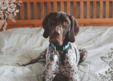 Heather and Lace (Photo Stationery) - Stationery by Rifle Paper Co.