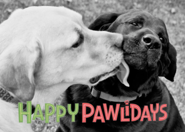 Happy Pawlidays - Holiday Card by Paperless Post