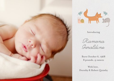 Foxy's Forest Party - Photo - Birth Announcement by Little Cube