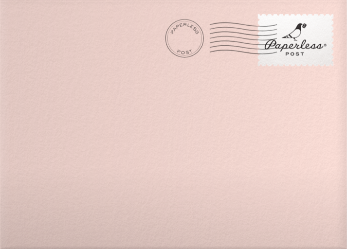 Wide Modern Border (Photo) - Paperless Post Envelope