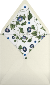 Provence - Stephanie Fishwick Envelope