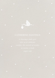 Here Comes the Stork by Sugar Paper