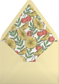 Nightcap - Martha Stewart Envelope