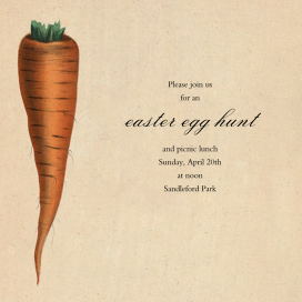 Carrot by John Derian