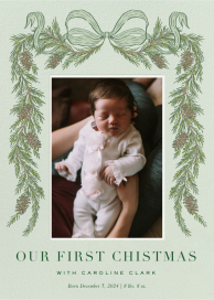 Longleaf Photo (Holly Hollon) - Christmas Card by Dogwood Hill