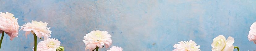 Background alt text