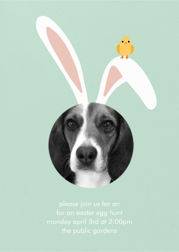 Bunny Ears - Easter Invitation by Paperless Post