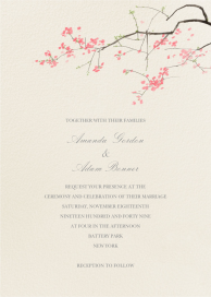 Japanese Cherry by Felix Doolittle