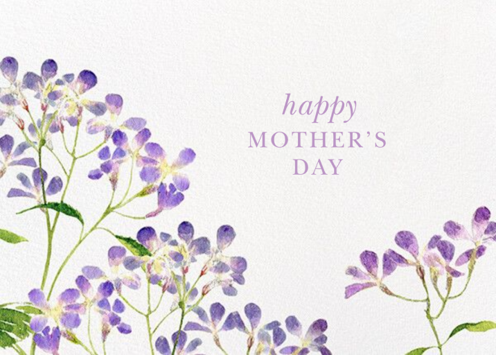 Purple Wildflower - Mother's Day Card by Felix Doolittle