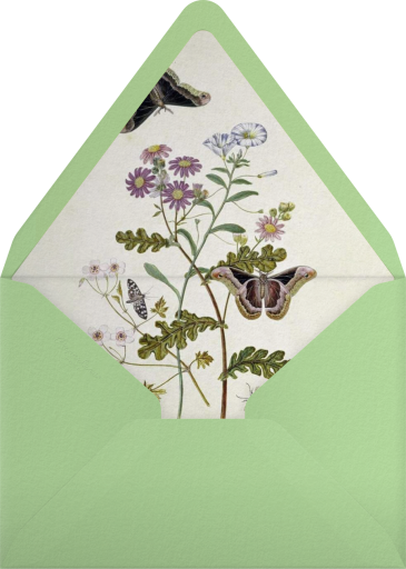 Scallop and Butterflies - Inquisited Envelope