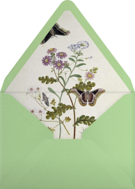 Scallop and Butterflies - Inquisited Envelope