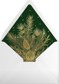 Red Fir I (Greeting) - Paperless Post Envelope