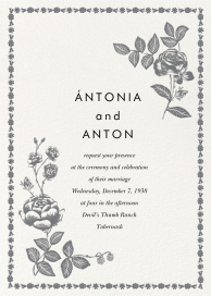 Sketched Roses by Rifle Paper Co.