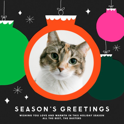 Ornaments Photo - Christmas Card by The Indigo Bunting