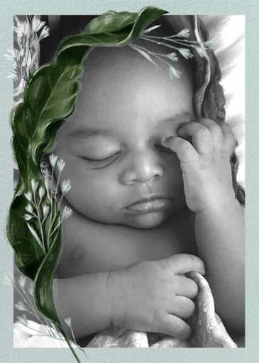 Cavendish - Birth Announcement by Paperless Post