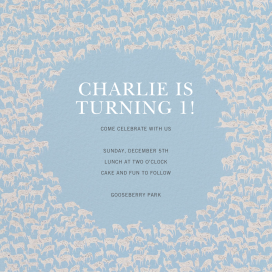 Rangale - First Birthday Invitation by Schumacher